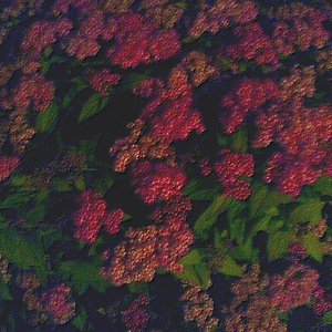 美女奶头视频一区二区三区
